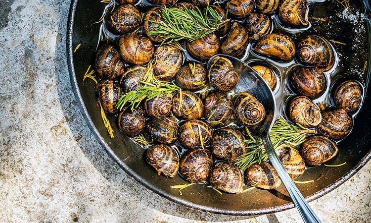 Cook Snails At Home
