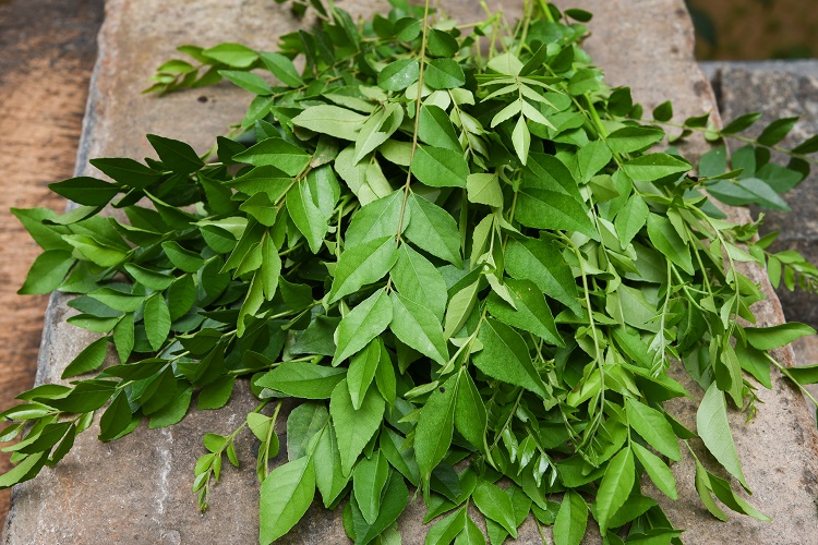 Curry Leaves
