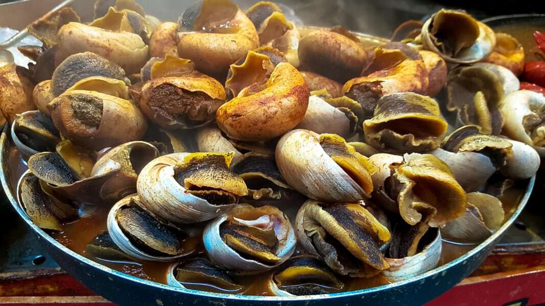 Snail Delicacies Of Spain