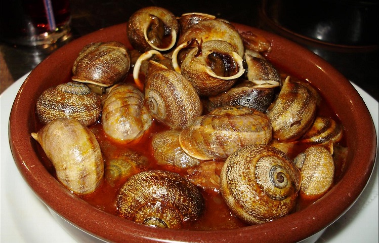 Spanish Snails