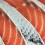 Best Fillet Knifes