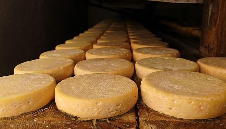 Your Guide To Portuguese Cheese