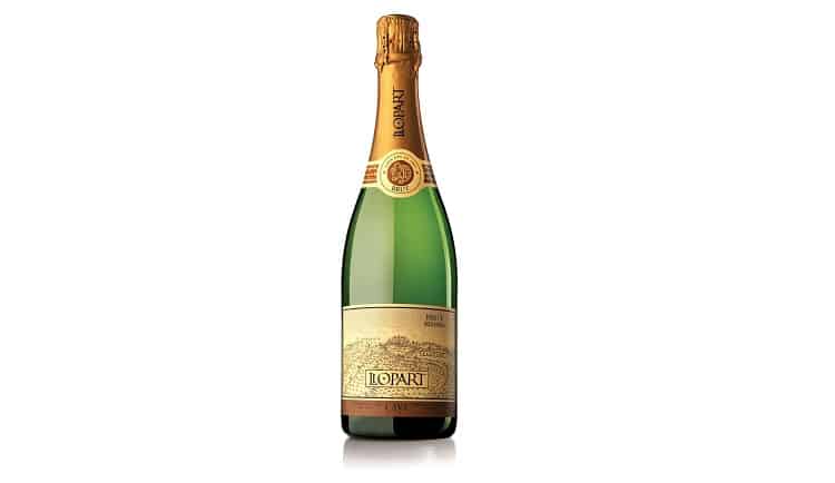 Sparkling Spanish Wine For Every Taste